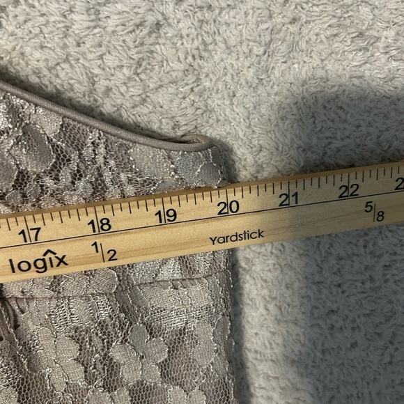 Women’s Lace Plus Size 16 Dress. Wedding Holiday Romantic. Dress Barn - Picture 2 of 3